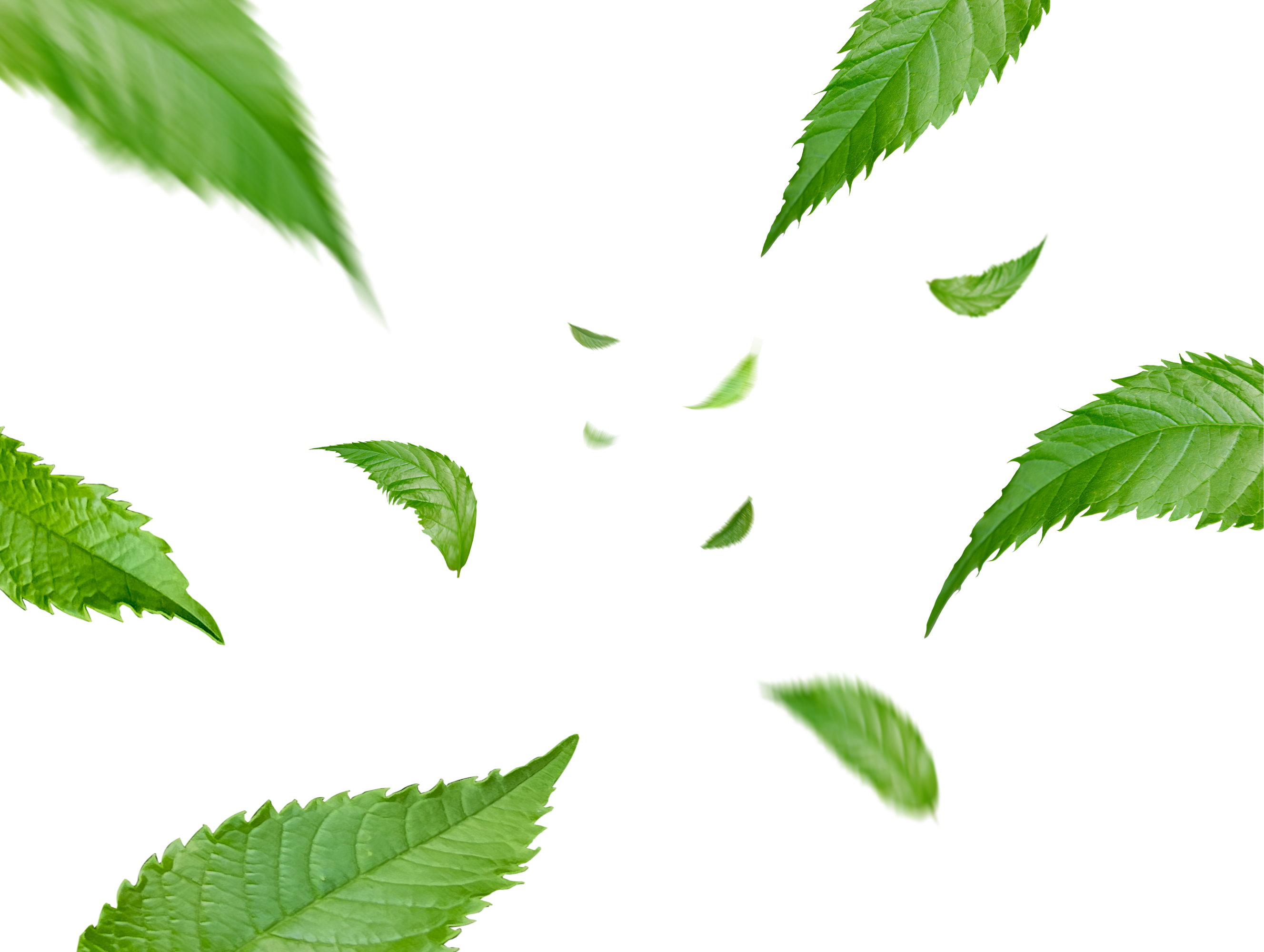 Green Floating Leaves Flying Leaves Green Leaf Dancing, Air